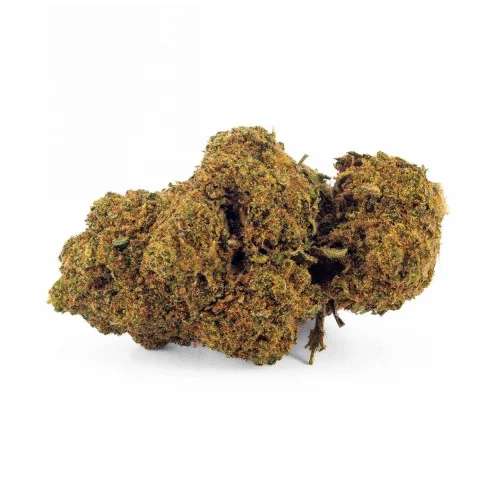 Sfuso Cannabis Canapa light Tipo 1