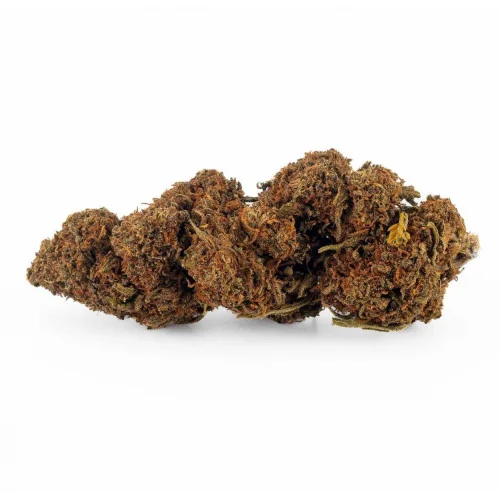 Sfuso Cannabis Canapa light Tipo 2