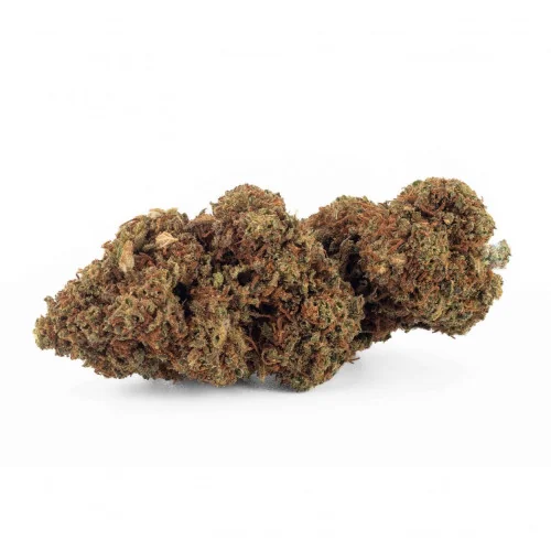 Sfuso Cannabis Canapa light Tipo 3