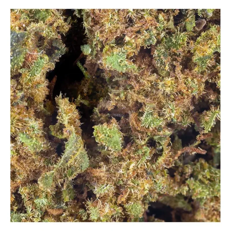 Sfuso cannabis Canapa Outdoor Tipo 4