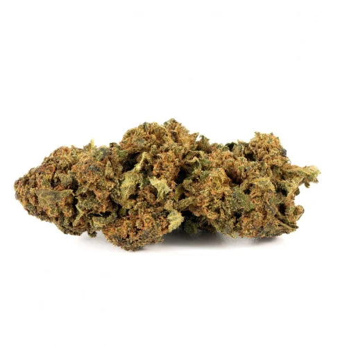 Sfuso Cannabis Canapa light Tipo 6
