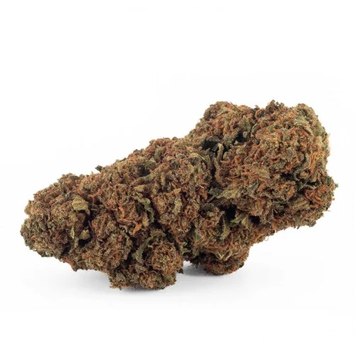 Sfuso Cannabis Canapa light Tipo 7