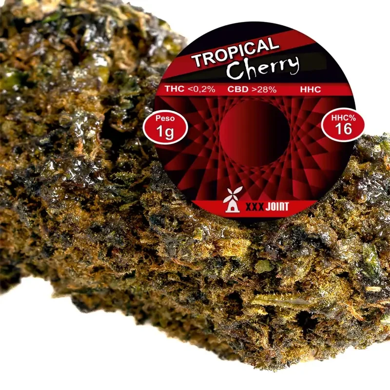 Tropical Cherry® 10-OH-HHC