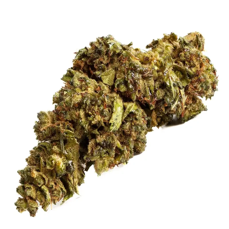 California Haze® 10-OH-HHC