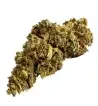 California Haze® 10-OH-HHC California Haze® 10-OH-HHC