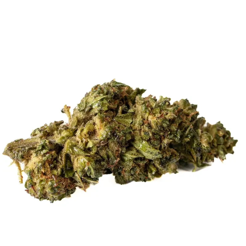 California Haze® 10-OH-HHC