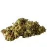 California Haze® 10-OH-HHC California Haze® 10-OH-HHC
