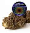 Sour Candy® 10-OH-HHC Sour Candy® 10-OH-HHC