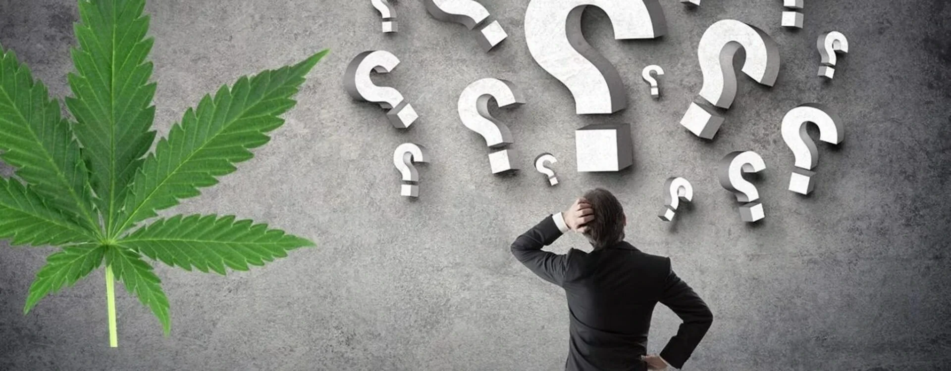 Coltivazione Cannabis Legale in Italia: Tutte le Informazioni Necessarie