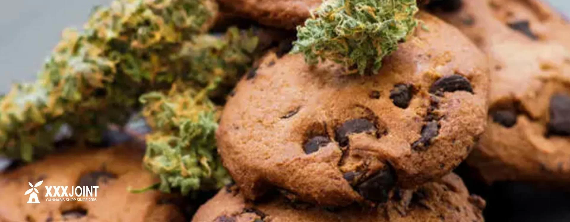 Cucinare con la Marijuana: Guida Completa alla Cucina a Base di Cannabis