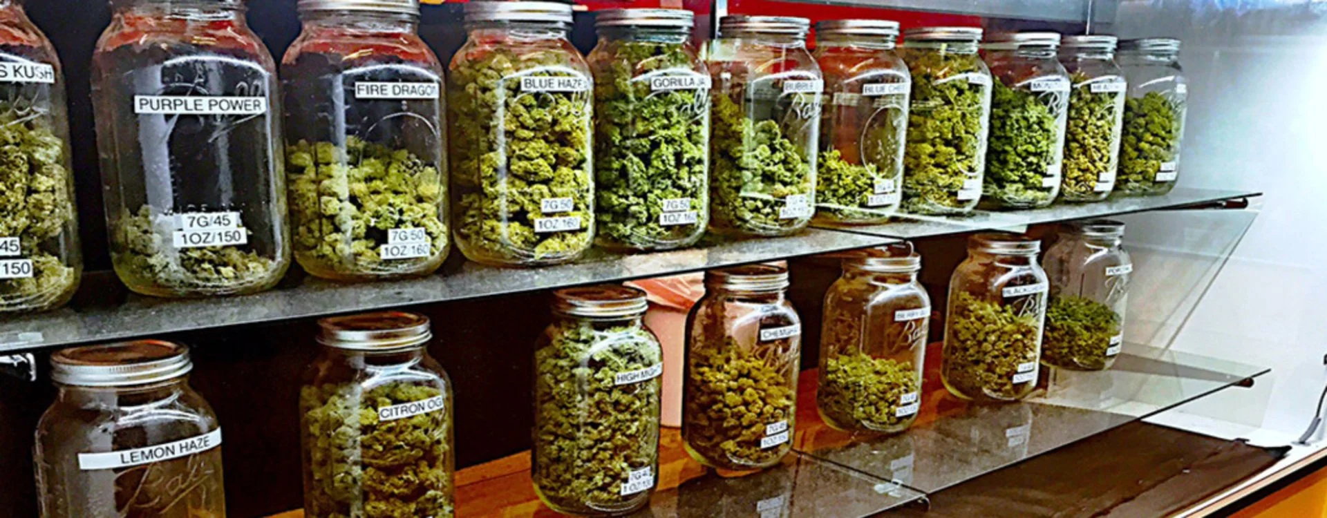 Dove acquistare Cannabis Legale? Guida all'acquisto