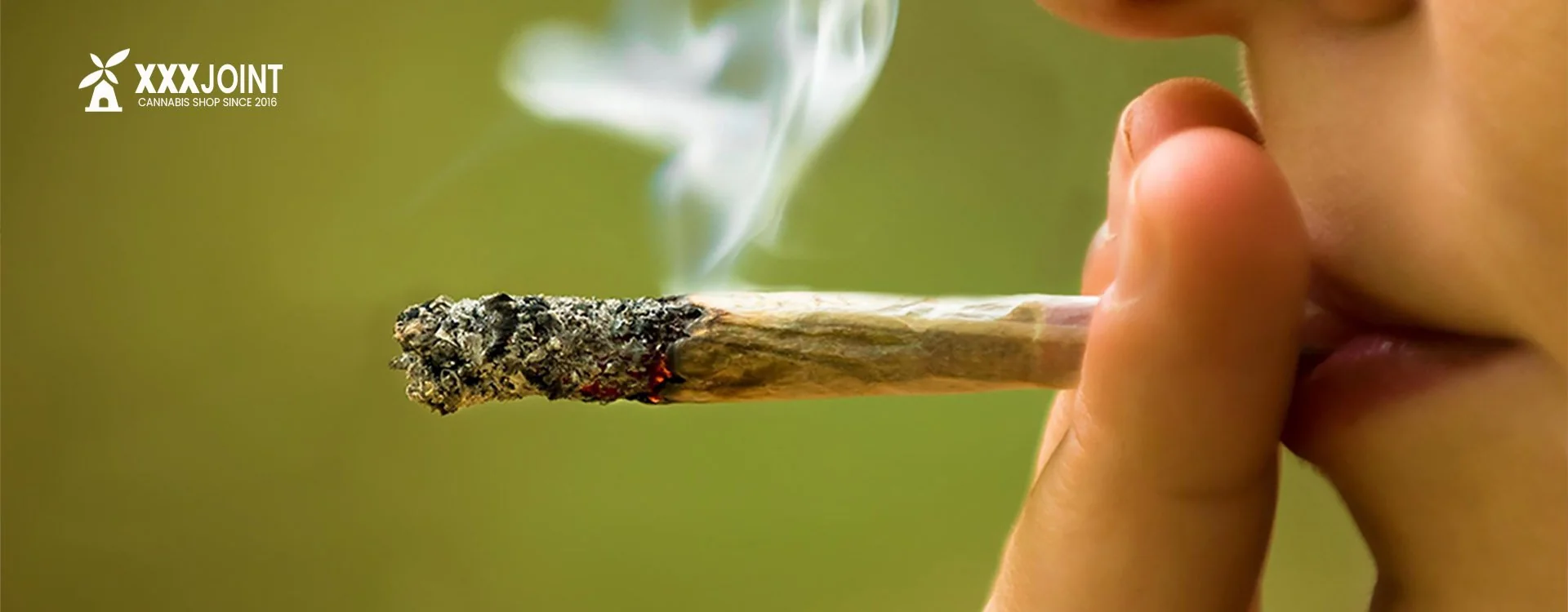 In Italia è legale acquistare cannabis legale e CBD? Si può fumare Erba light?