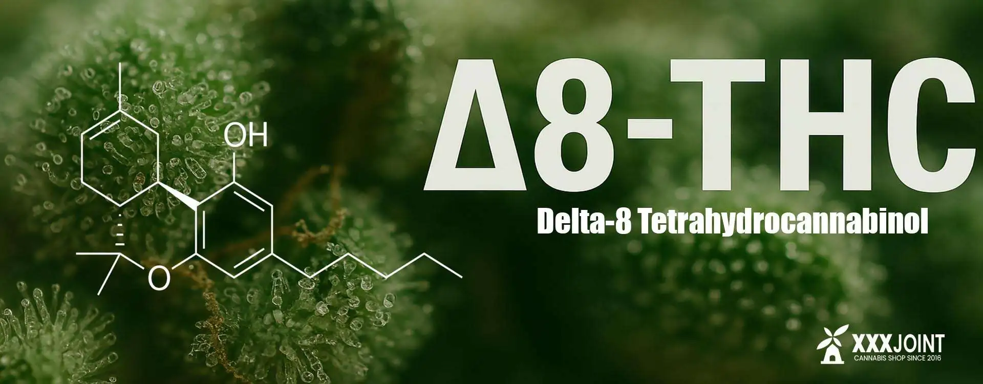 Delta‑8 THC: cos’è, effetti, benefici e legalità in Italia