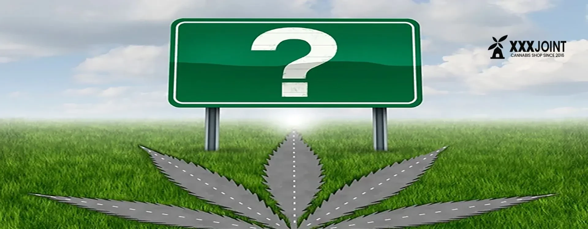 Scopri le 10 migliori varietà di cannabis legale del 2024