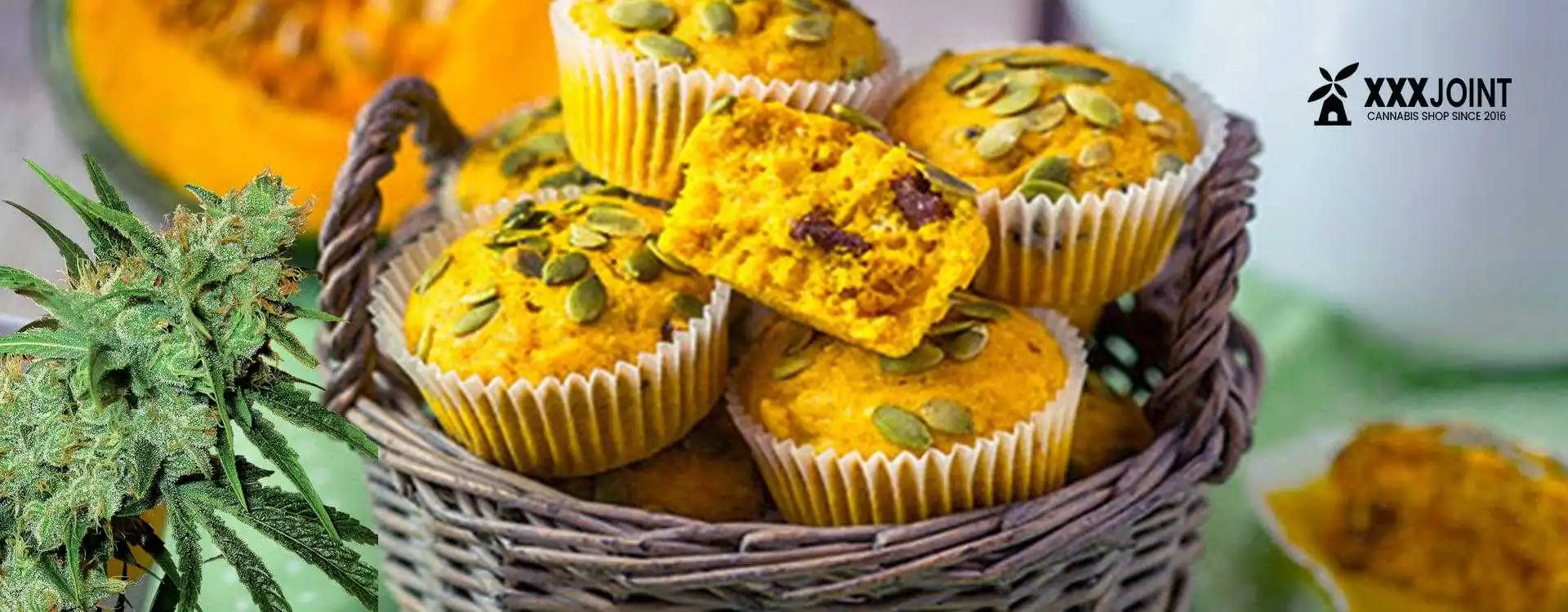 Ricetta: Muffin alla Zucca e Cannabis