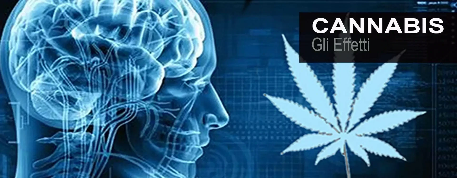 Quali sono gli effetti della cannabis su corpo e mente? Scoprili ora!