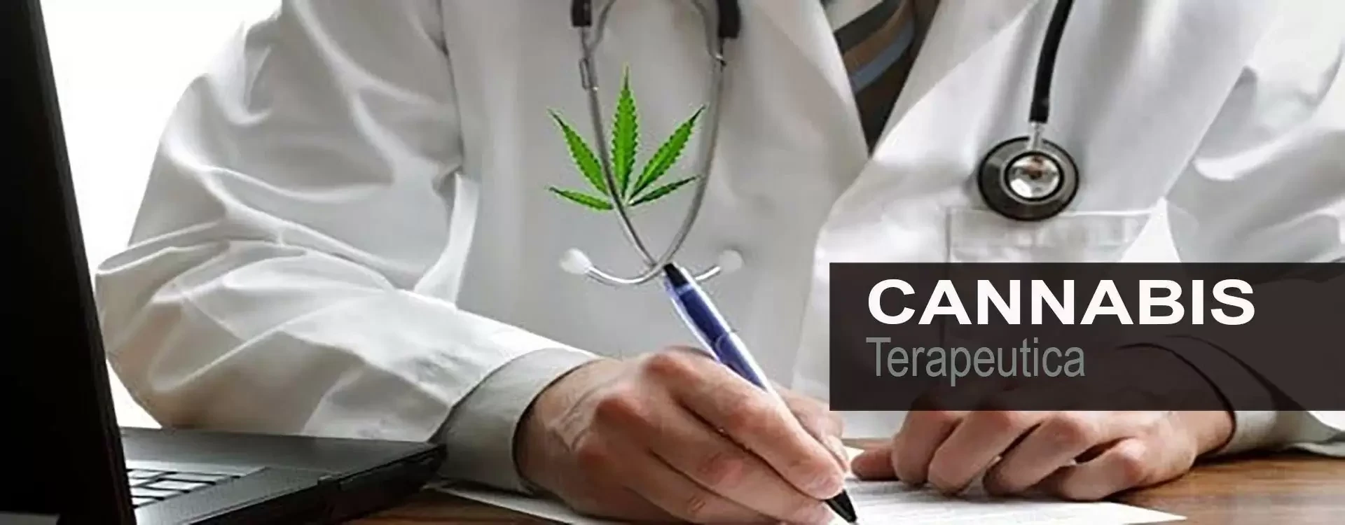 Cannabis Terapeutica o medica Italia