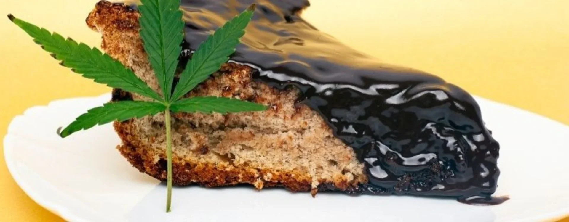 Ricetta: Crostata al Cioccolato e Cannabis Un Dessert Unico