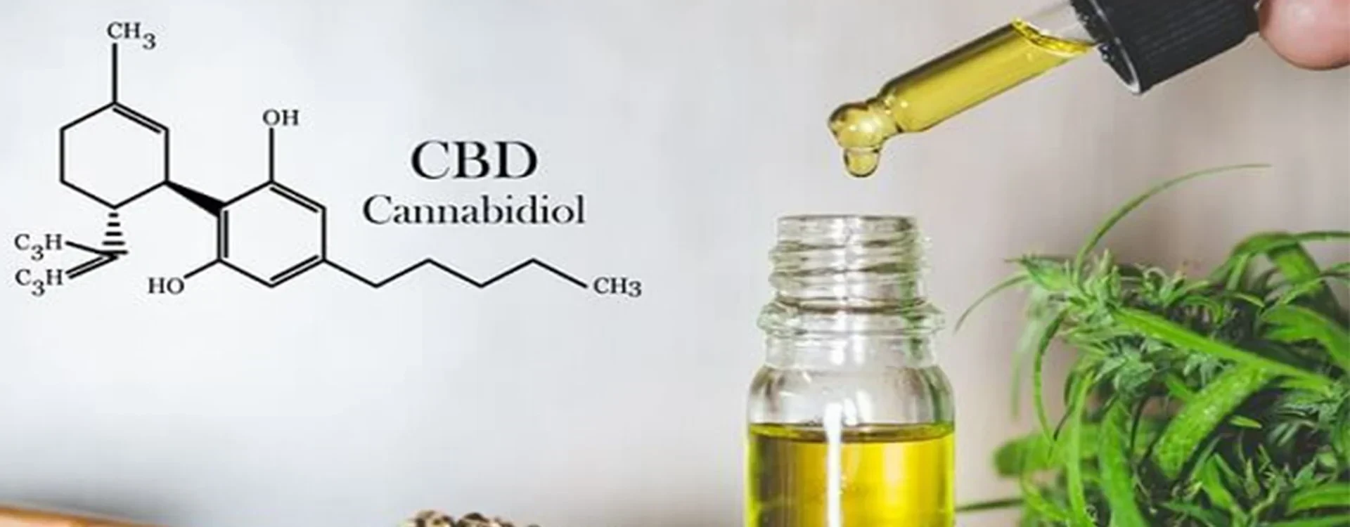 Benefici del CBD: Scopri tutti gli effetti benefici del Cannabidiolo