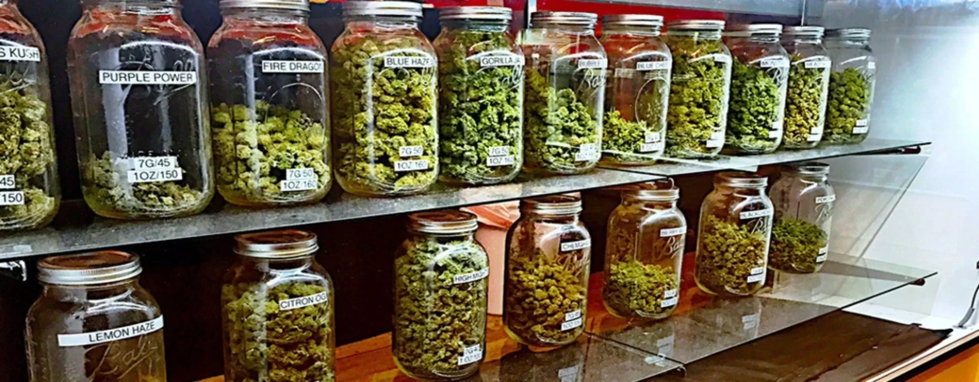 Dove acquistare Cannabis Legale? Guida all'acquisto