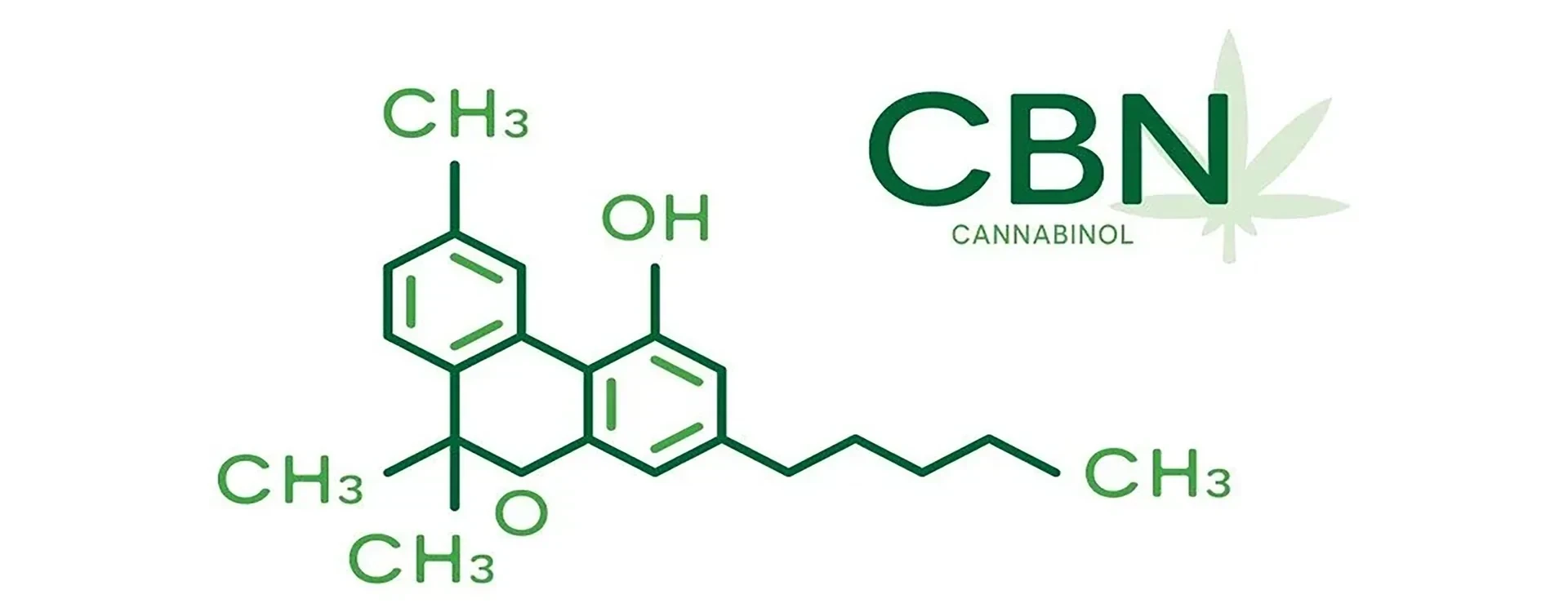 CBN (Cannabinolo): Un Cannabinoide Minore con Grandi Benefici