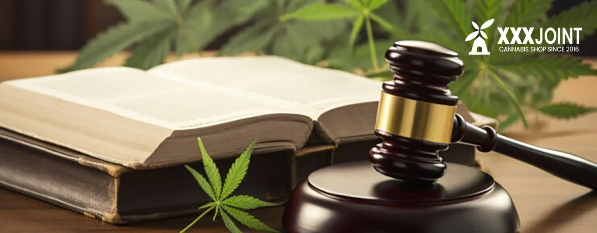 Divieto sulla Cannabis Light in Italia: Nuove Regole e Implicazioni