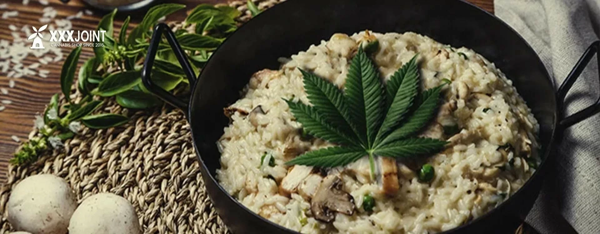 Ricette Innovative alla Cannabis! Scoprile tutte