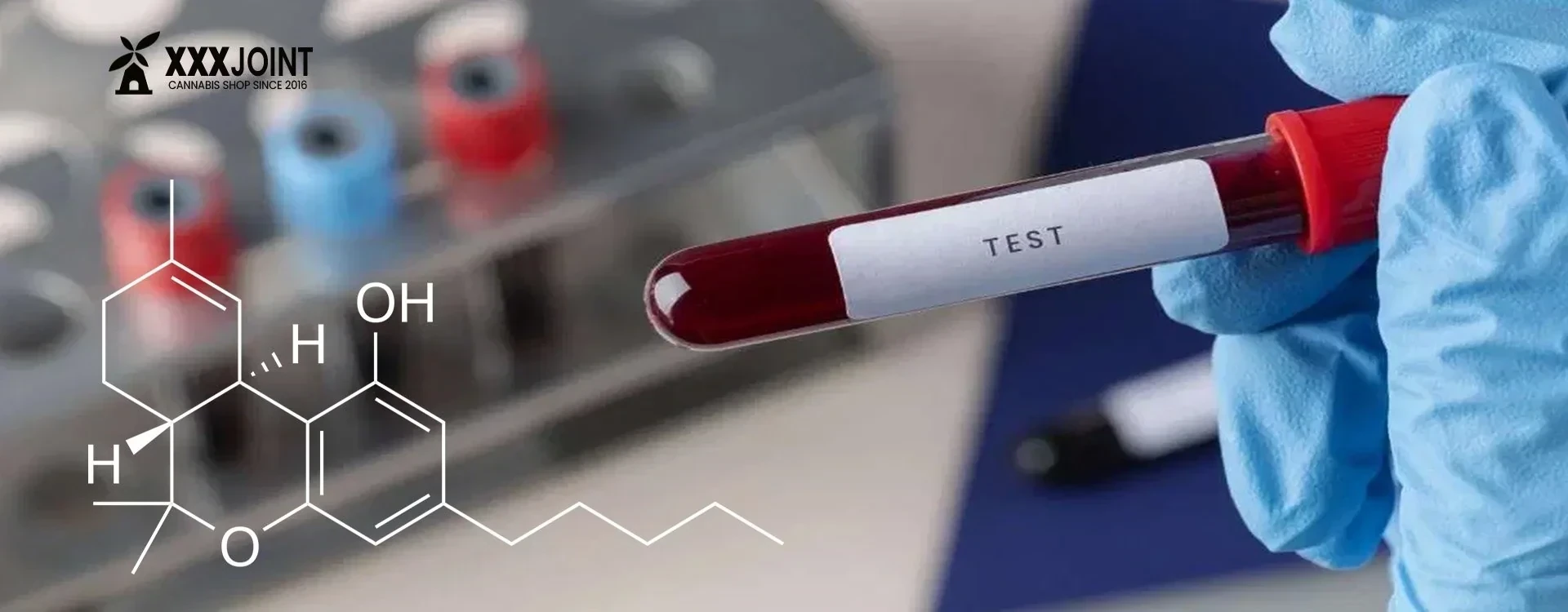 Test antidroga Sangue: Tutto ciò che Devi Sapere sul test thc e cannabis