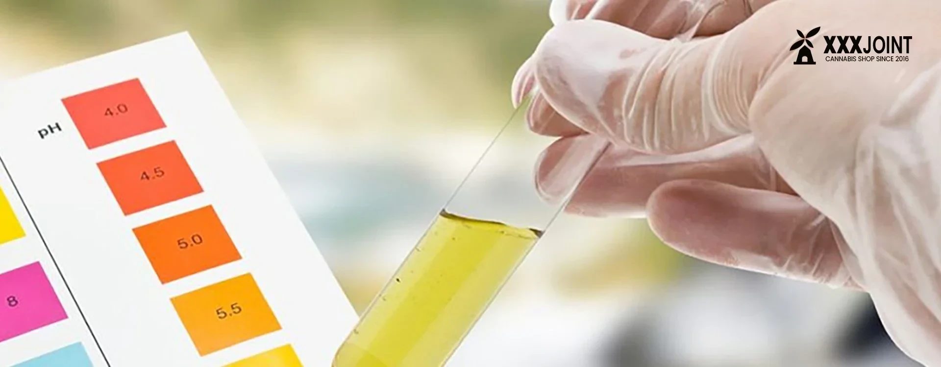 Test antidroga urine THC e Cannabis? Scopri come affrontarlo al meglio!