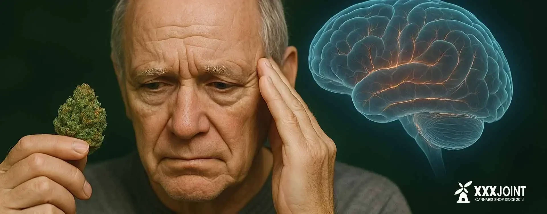 Cannabis e malattie neurodegenerative: benefici, rischi e stato della ricerca