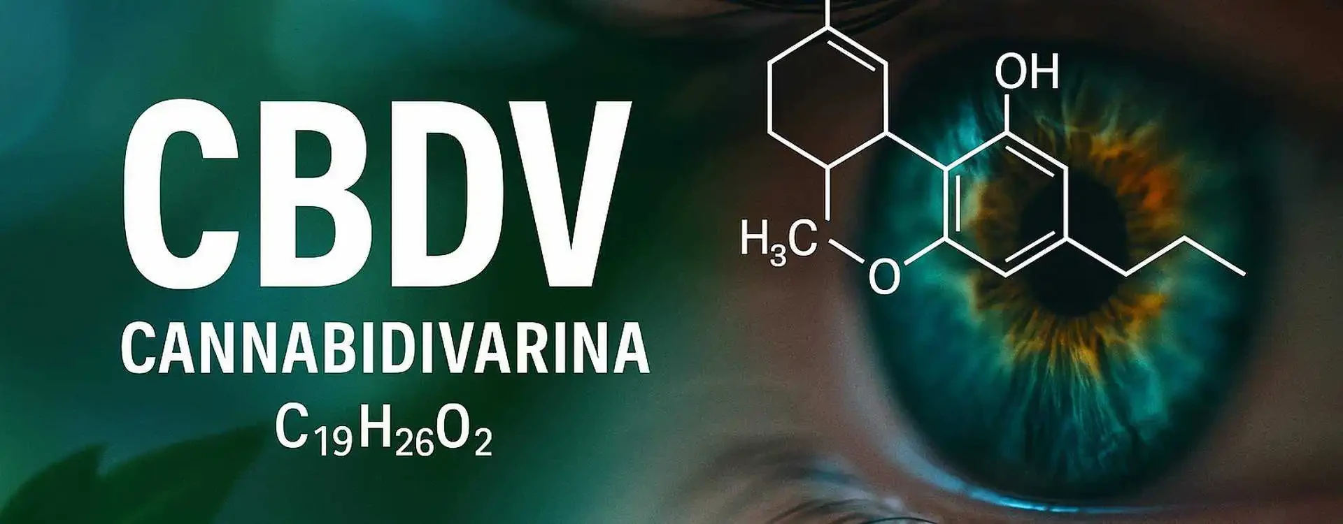 CBDV (Cannabidivarina): cos’è, differenze con CBD, effetti e legalità in Italia