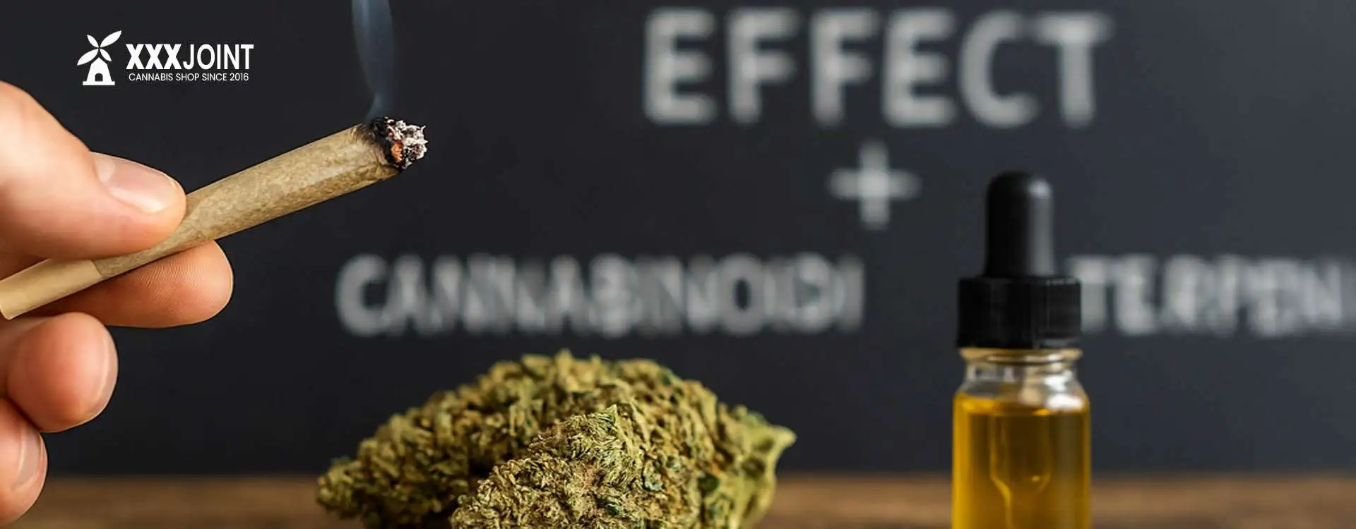 Effetto Entourage: guida completa al potere combinato di cannabinoidi e terpeni