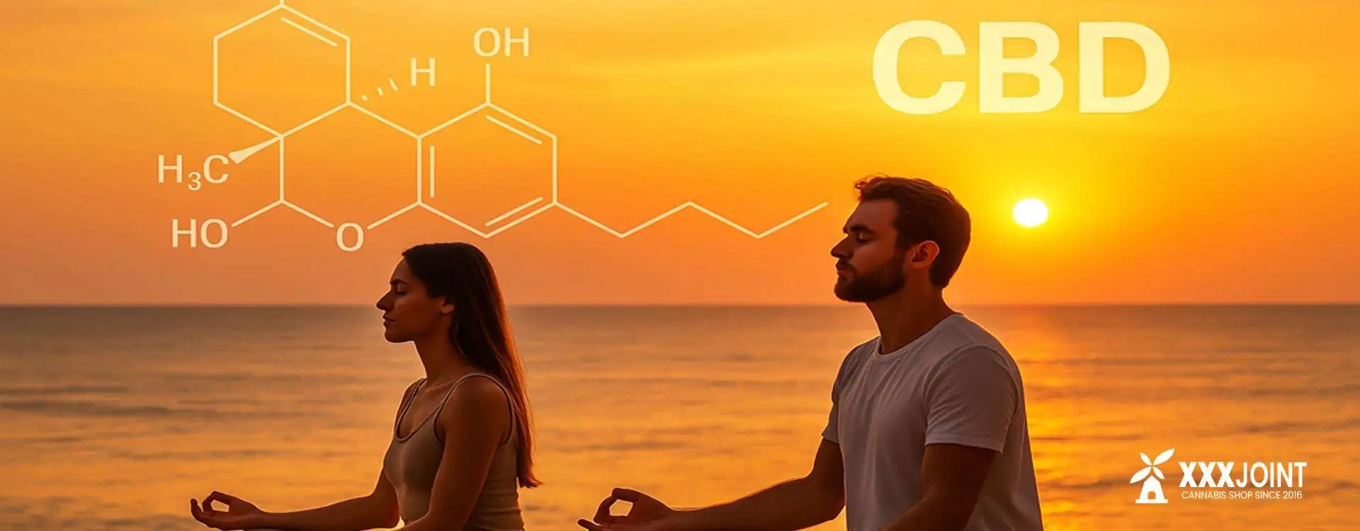 CBD e meditazione: guida completa per armonizzare mente e corpo