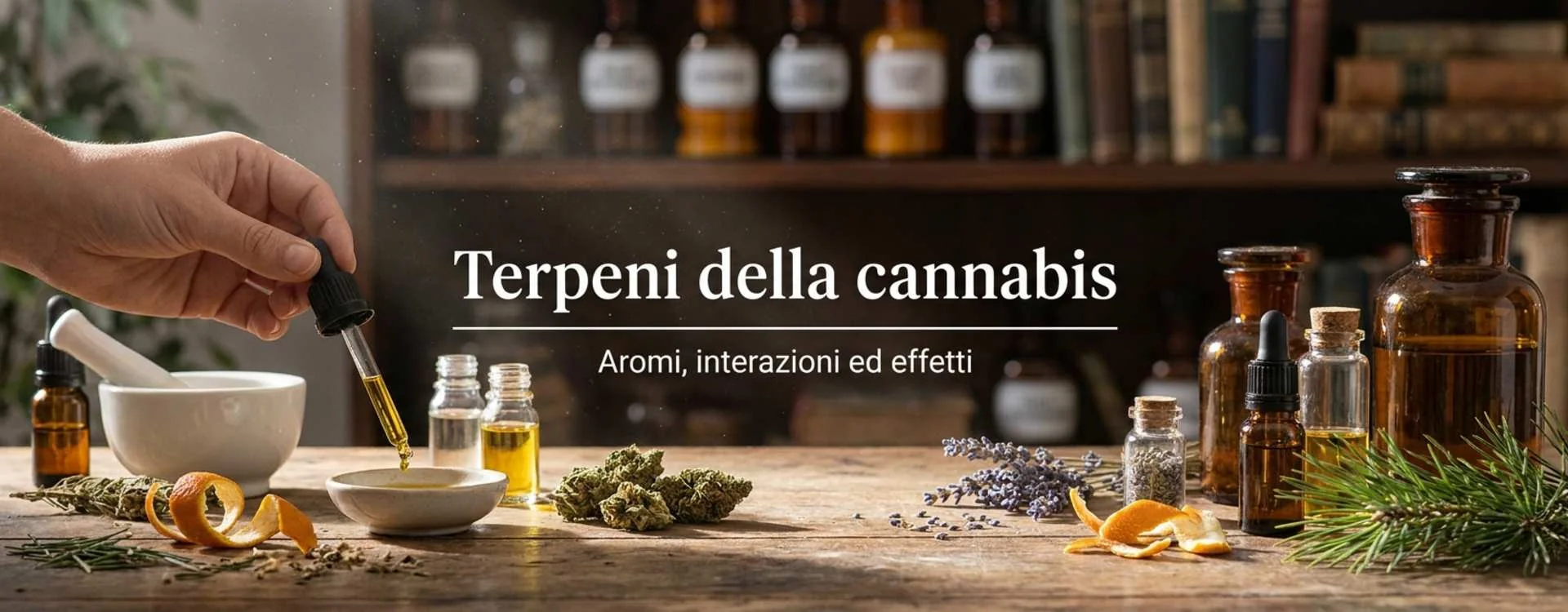 Terpeni della cannabis: guida ad aromi, tipi, interazioni ed effetti Terpeni della cannabis: guida ad aromi, tipi, interazioni ed effetti