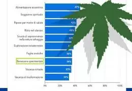 Cannabis e psichedelici fra i "nuovi trend" del turismo globale 2023