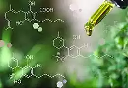 Cannabinoidi