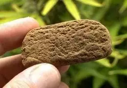 Hashish: Effetti, Produzione e Legislazione in Italia Hashish: Effetti, Produzione e Legislazione in Italia