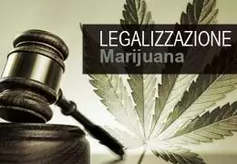 Legalizzazione Cannabis Italia