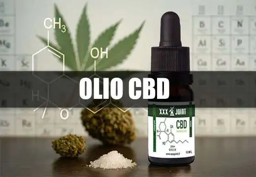 Olio CBD: guida completa a benefici, usi e dosaggi