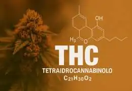 THC: il cannabinoide più famoso – effetti, benefici e leggi