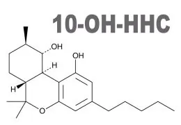10-OH-HHC: L'alternativa al THC ed HHC che stavi cercando