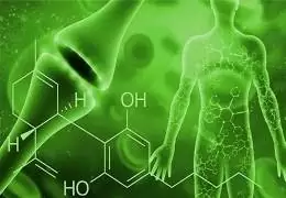Domande sul Sistema Endocannabinoide? Ecco tutte le Risposte!