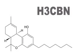 H3CBN: il nuovo cannabinoide simile al THC