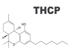 THCP: La Scoperta Rivoluzionaria nei Cannabinoidi