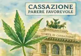 DDL Sicurezza: Cassazione boccia Art. 18 è incostituzionale!