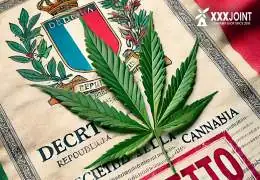DDL Sicurezza: Il Grande Attacco alla Cannabis Legale e ai Diritti Civili