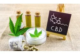 Il Tar Annulla il Divieto di Vendita dei Prodotti a Base di CBD: Una Svolta per l'Industria Italiana della Cananabis