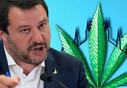 HHC: il governo decide! il cannabinoide diventa una droga pesante!