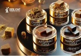 HASHISH: I migliori Hashish del 2024