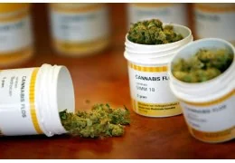 Le tipologie di Cannabis Terapeutica o Medica con THC in Italia